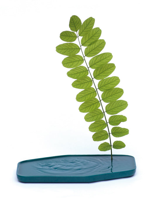 Ceramic Plan Vase Turquoise by Sebastien Cordoleani for Moustache