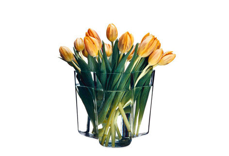 Iittala Alvar Aalto Vase (3.75"), Clear