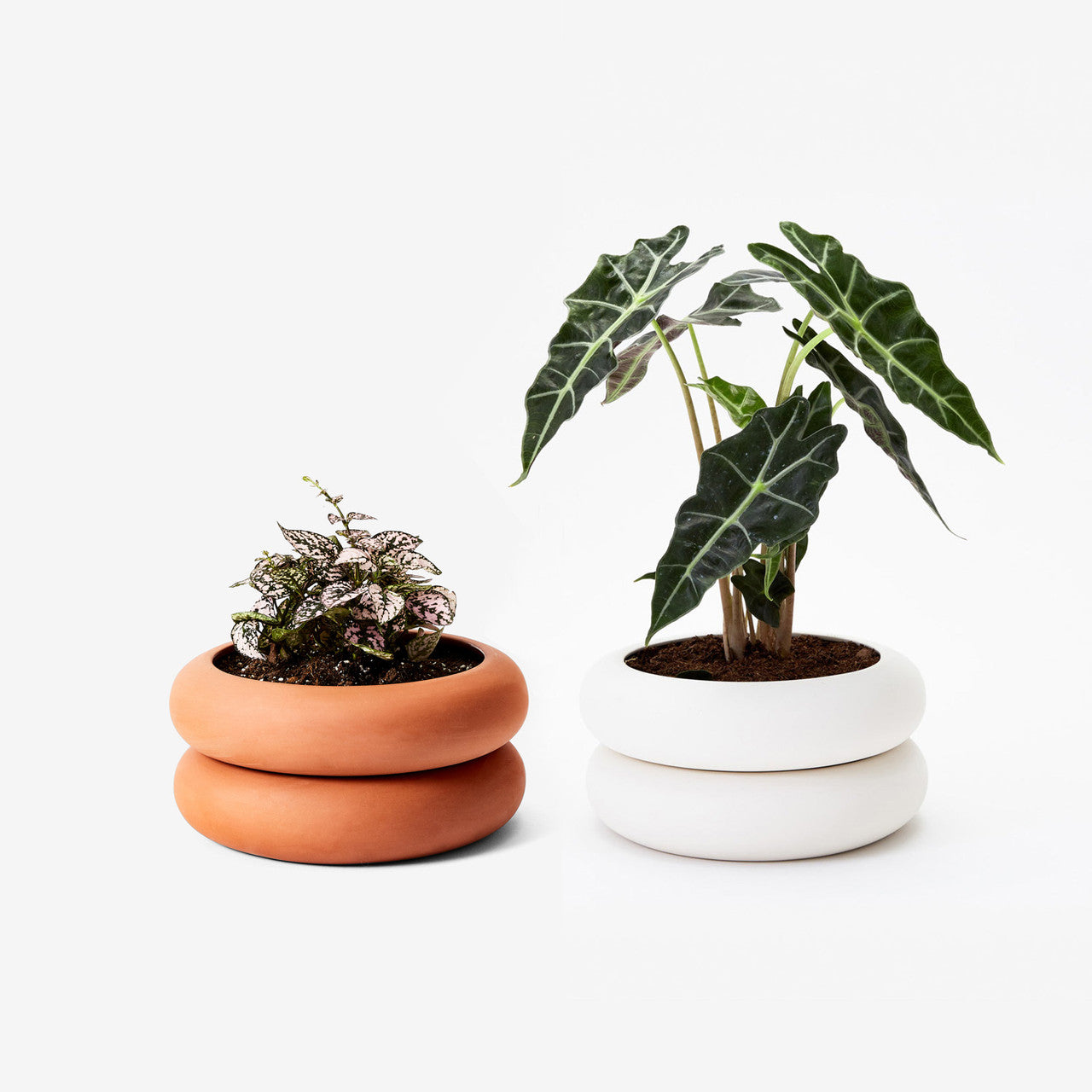 Stacking Planter Short - White by Chen Chen and Kai Williams