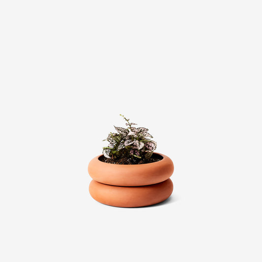Stacking Planter Short - Terracotta by Chen Chen and Kai Williams