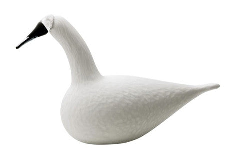 IITTALA GLASS BIRDS BY TOIKKA Whooper Swan 13" x 8.25"