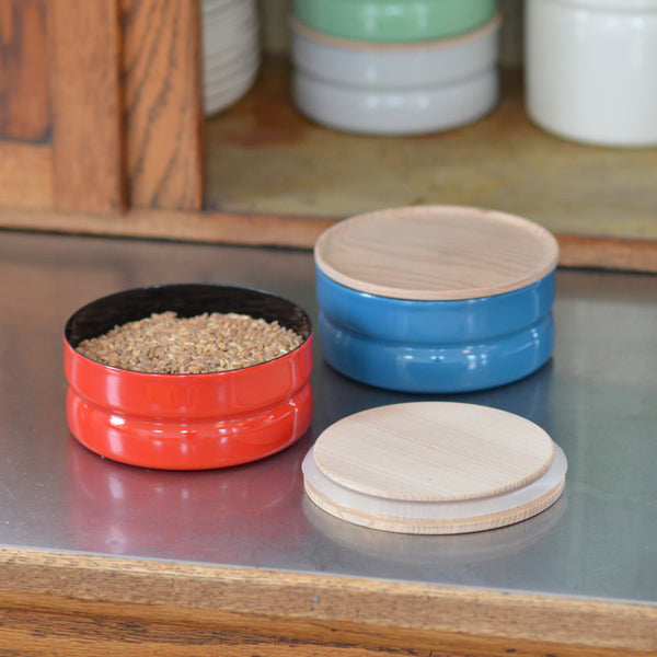 RIESS .6L Storage Container (Green)