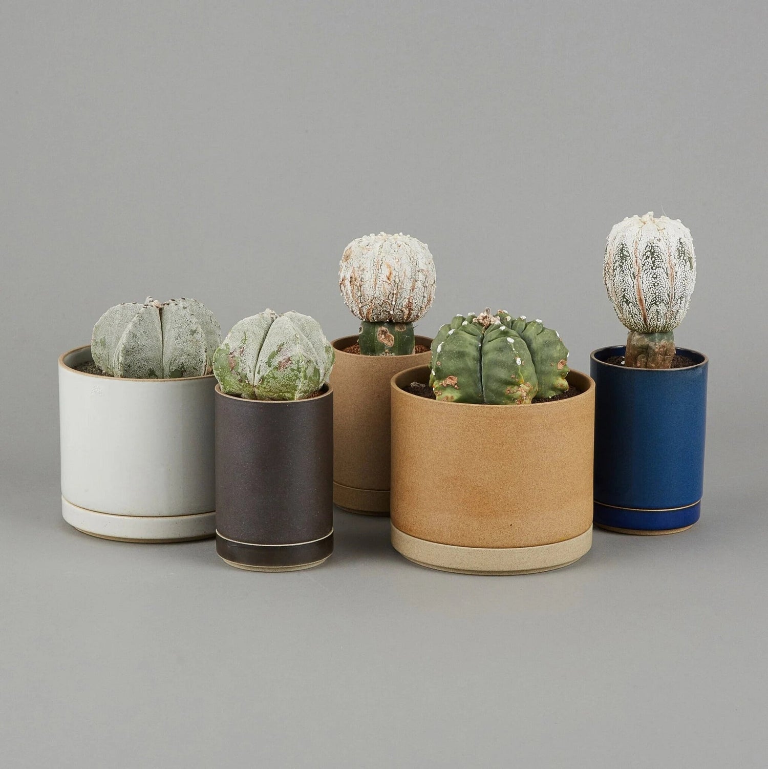 HASAMI PORCELAIN PLANTERS