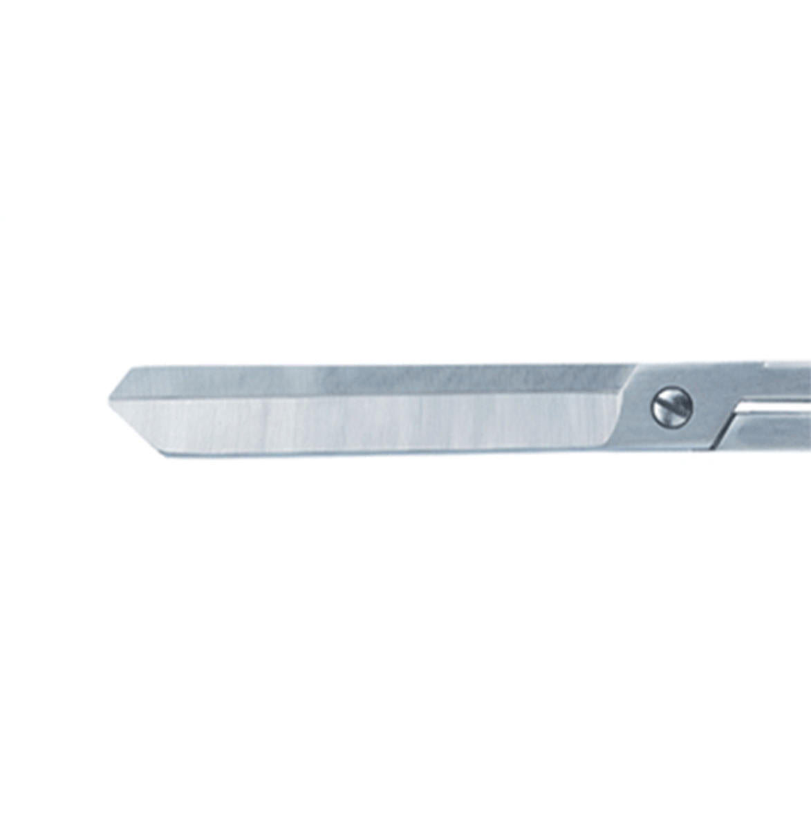 Craft Design Technology Scissors Silver
