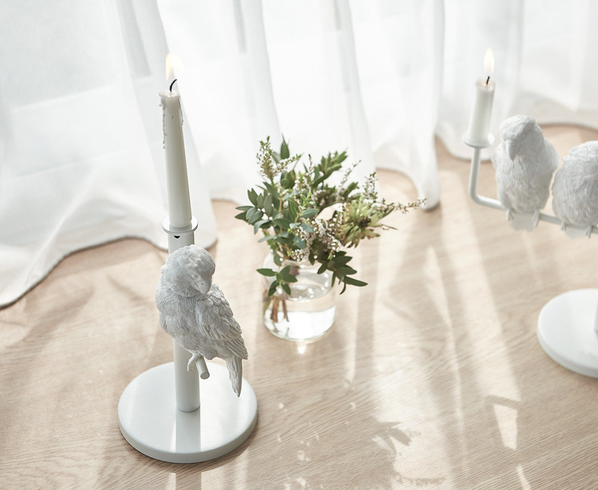 Parrot X CANDLE HOLDER - Single by Haoshi Design