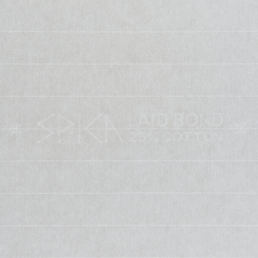 Paper Notebook (128 pages) Spika Laid Paper Platinum