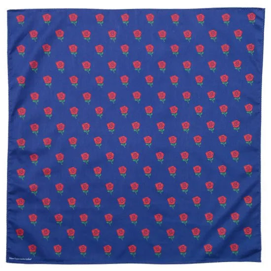 Rose / Navy Handkerchief