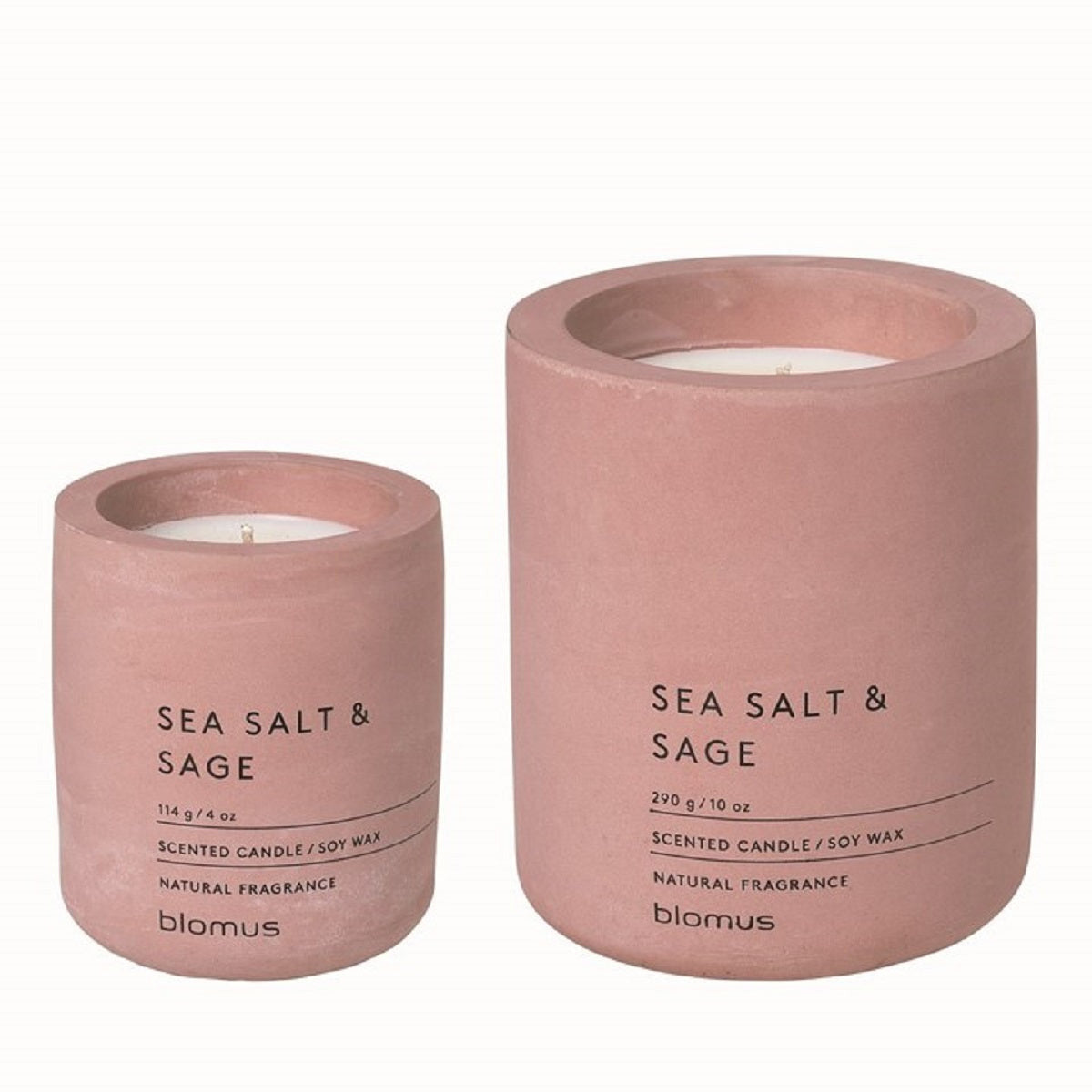 FRAGRA Candle Set Lg & Sm Withered Rose wSea Salt & Sage Scent