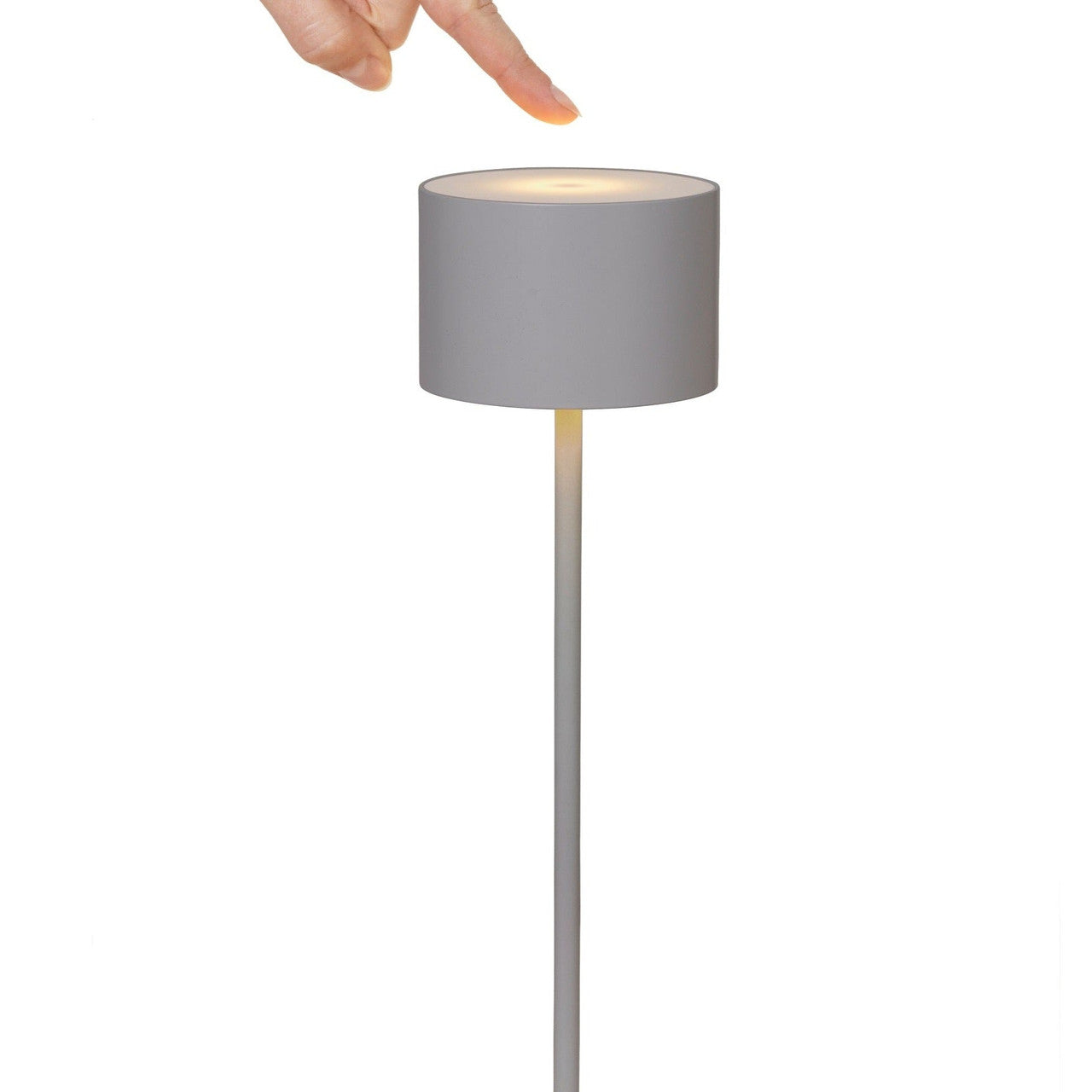 FAROL Mobile Rechargeable LED Floor Lamp Gunmetal