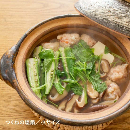 CLASSIC "HAKEME" DONABE NH-02 (84 fl oz) by Iga Mono