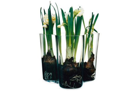 Iittala Alvar Aalto Vase (3.75