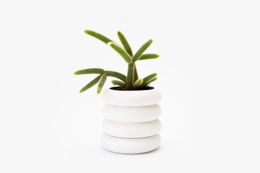 Stacking Planter- Tall (white) by Chen Chen & Kai Williams