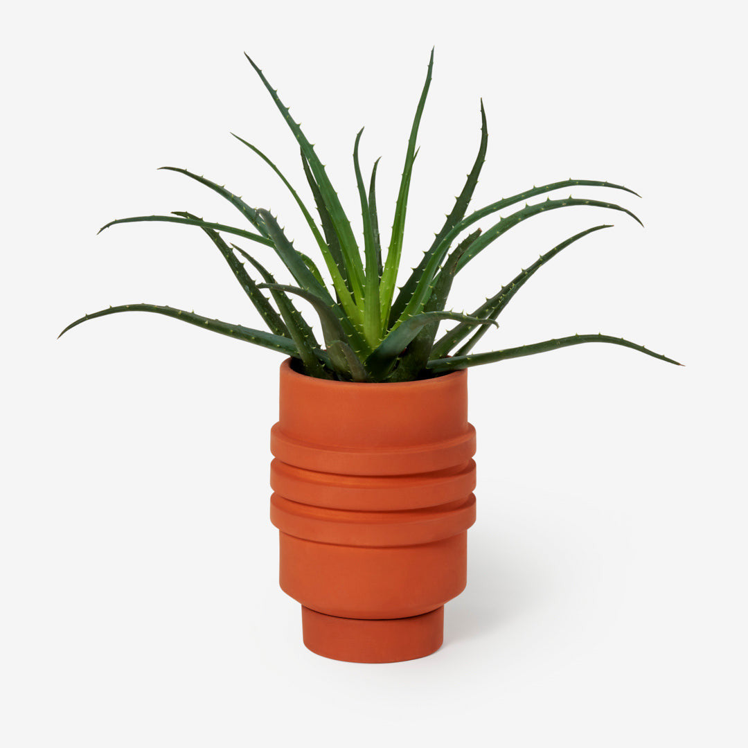 Strata Plant Vessel - Terracotta by Simone Brewster