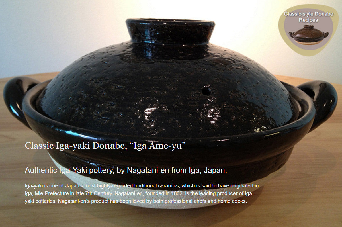 CLASSIC "Iga Ame-yu" DONABE NM-33 (100 fl oz) by Iga Mono