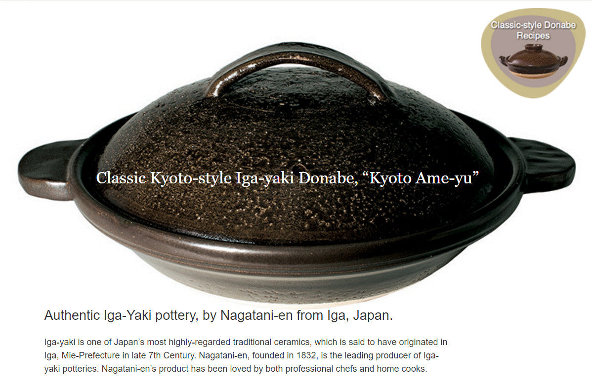 CLASSIC "Kyoto Ame-yu" DONABE ZN-54 (60 fl oz) by Iga Mono